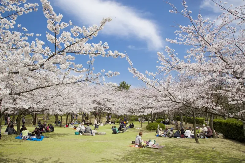 新潟県立鳥屋野潟公園 鐘木エリア
