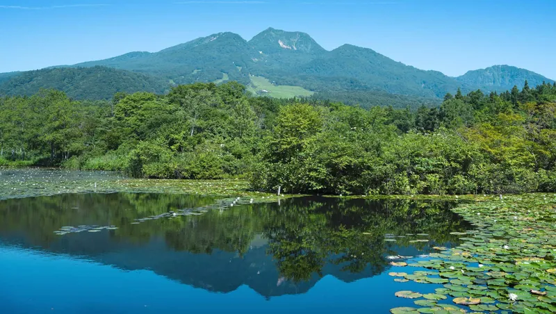 いもり池