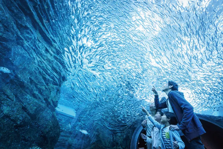 上越市立水族博物館 うみがたり