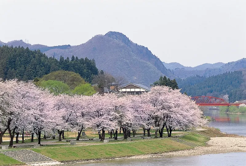 津川町麒麟山公園