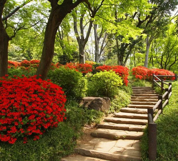 有栖川宮記念公園