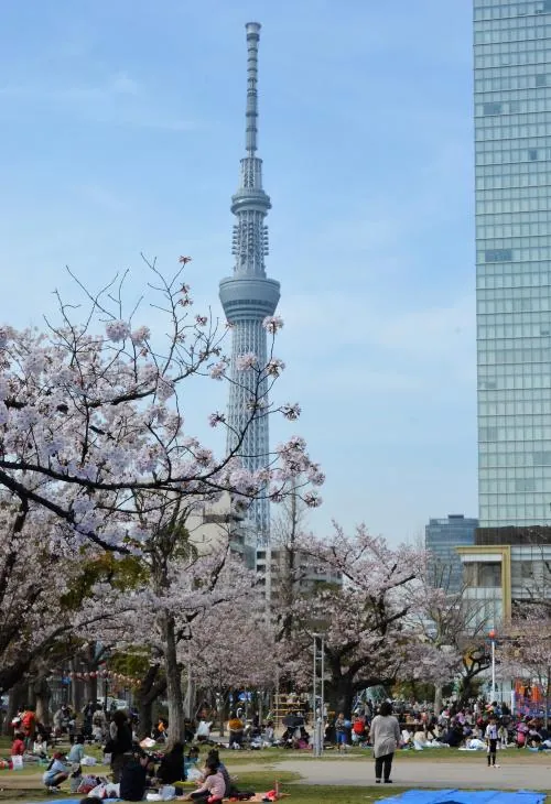 錦糸公園