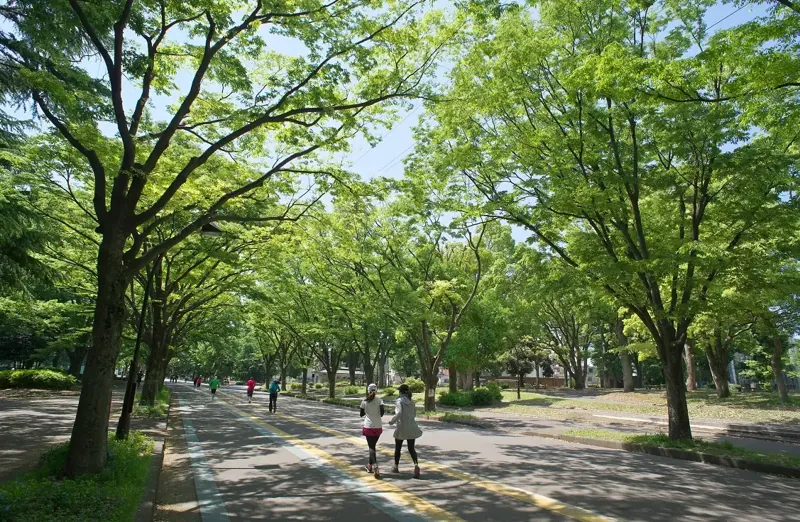 駒沢オリンピック公園