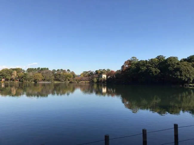 大田区立洗足池公園