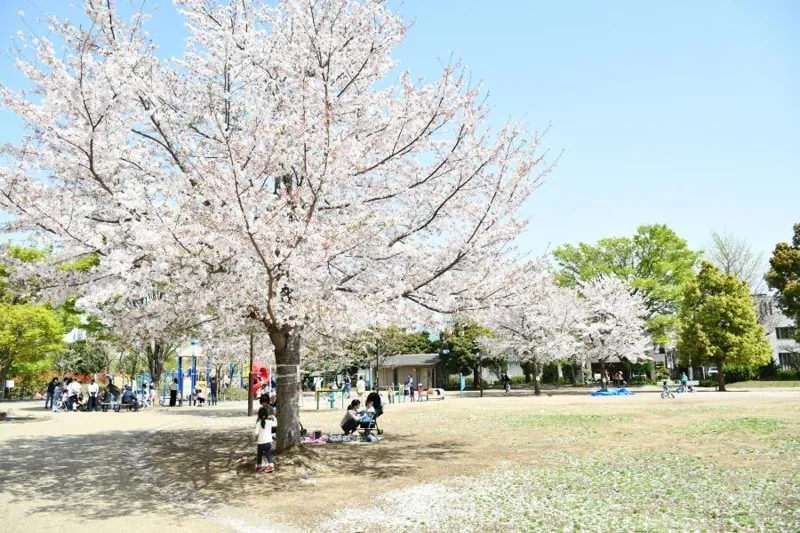 西ケ原みんなの公園