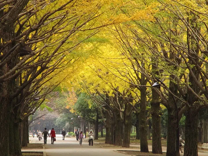 光が丘公園
