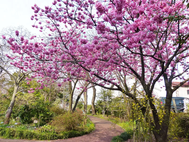 横浜市こども植物園