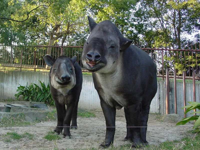 横浜市立金沢動物園