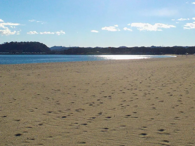 海の公園