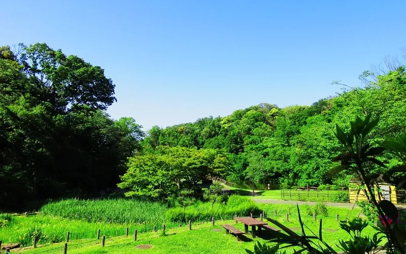 久良岐公園