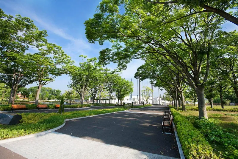 横浜市俣野公園