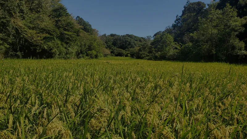 舞岡公園