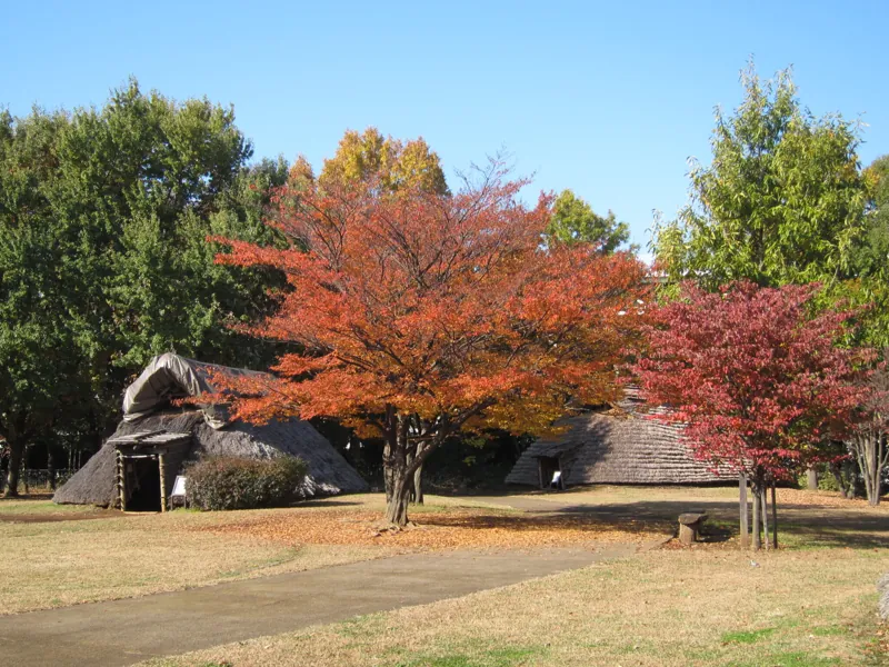 大塚・歳勝土遺跡公園