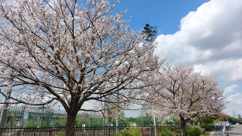 谷本公園