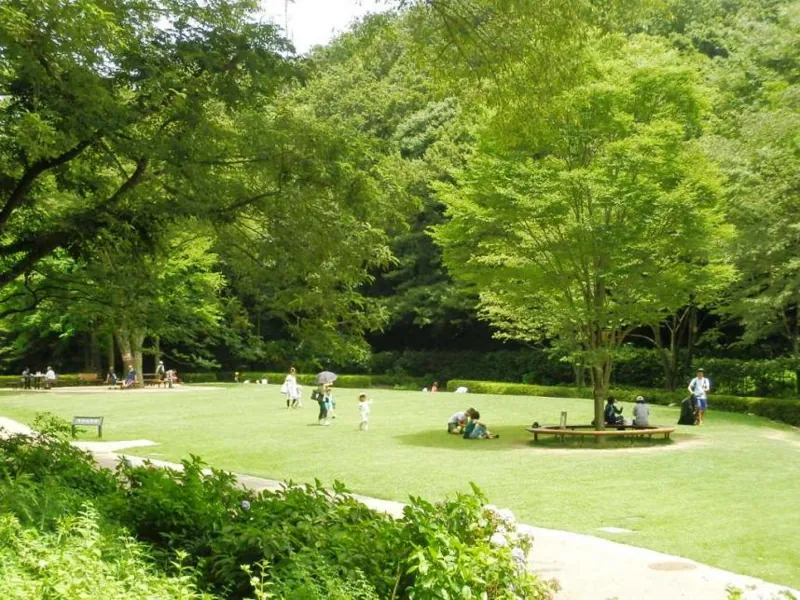県立東高根森林公園