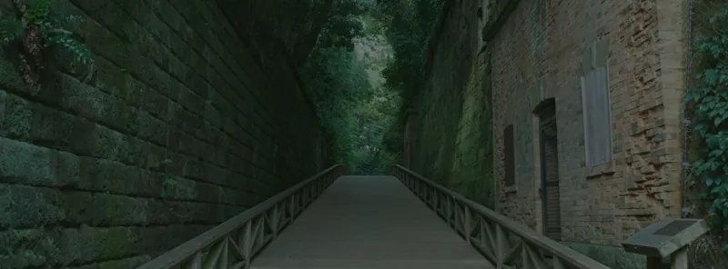 猿島