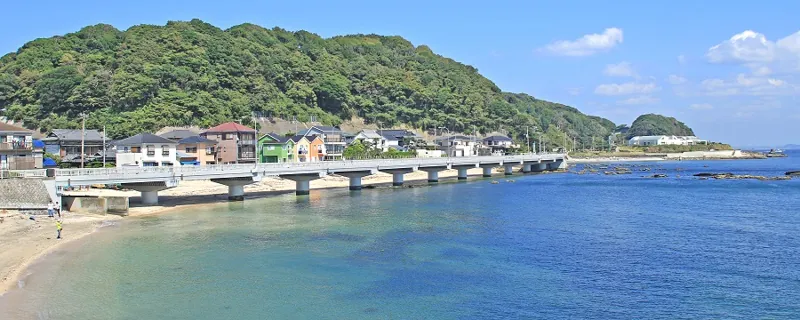 観音崎自然博物館