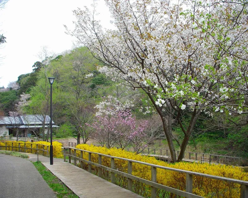 鎌倉中央公園