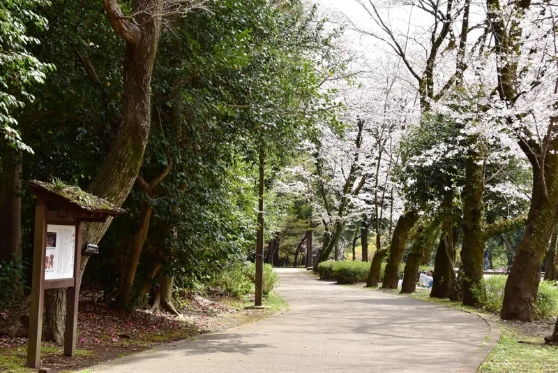 城山公園(早川城山公園)