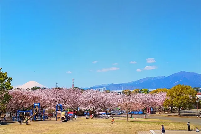 さむかわ中央公園