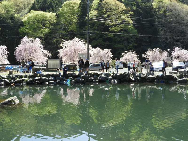 寄清流マス釣り場