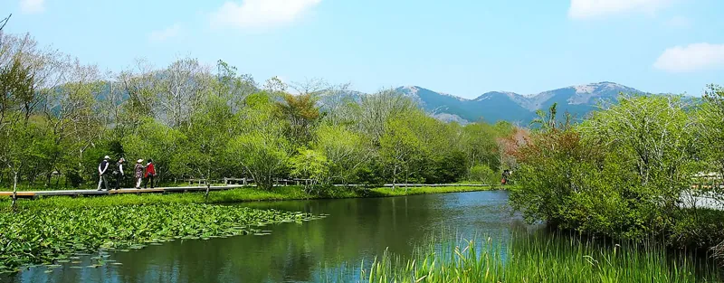箱根湿生花園