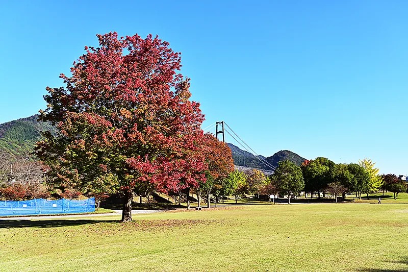 宮ヶ瀬湖畔園地