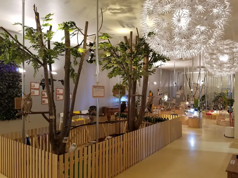 Moff animal cafe イオンモール幕張新都心店