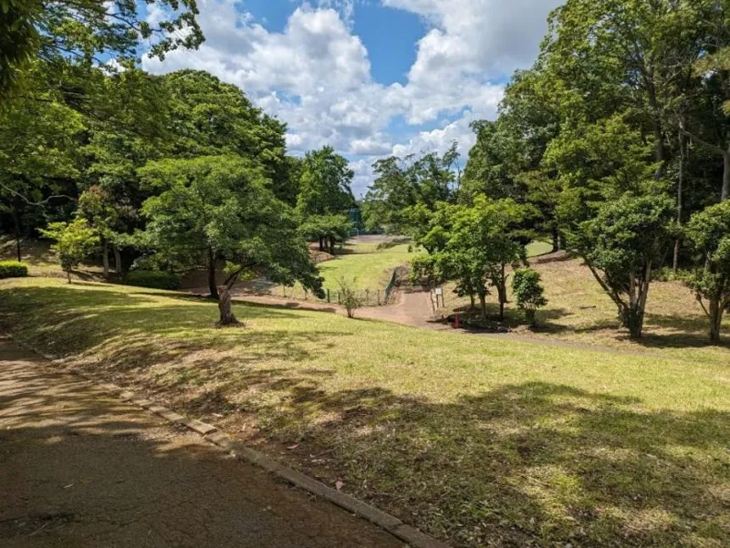 大津ヶ丘中央公園
