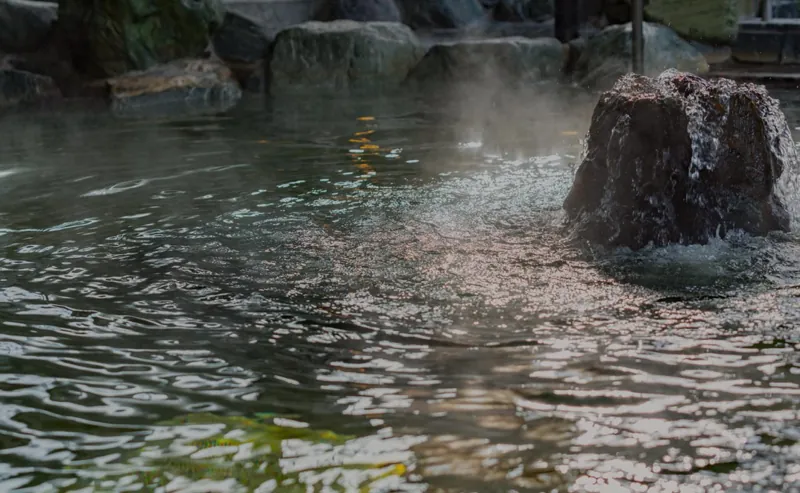 天然温泉 花鳥風月
