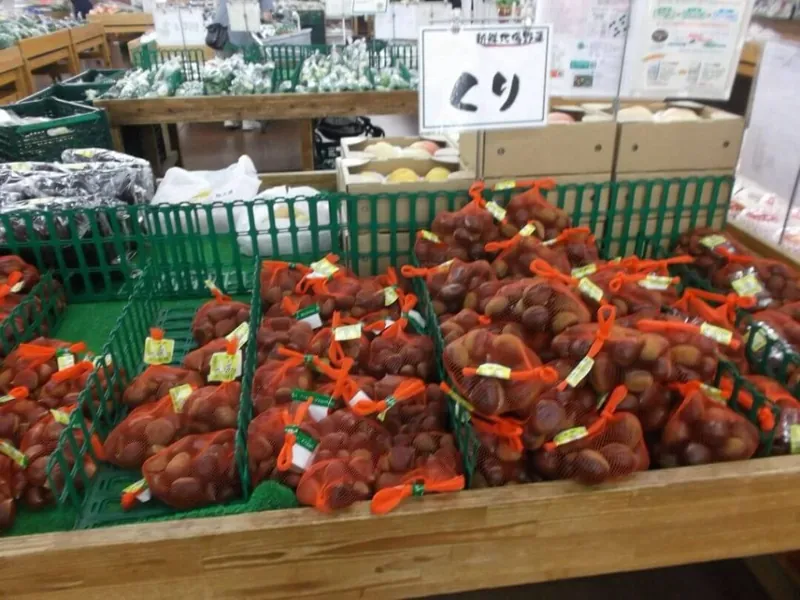 あぐれっしゅ川越 2