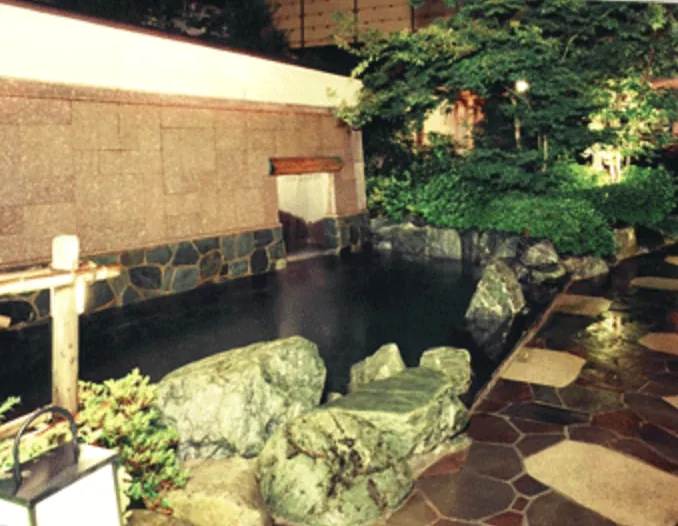 天然温泉 真名井の湯 大井店 1