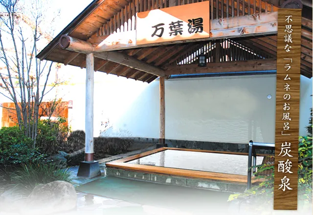 天然温泉 真名井の湯 大井店 2