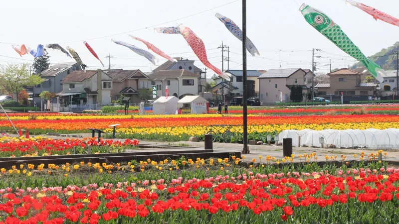 瑞穂町農畜産物直売所 ふれっしゅはうす 2