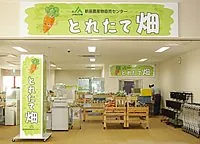 新座農産物直売センター（とれたて畑）