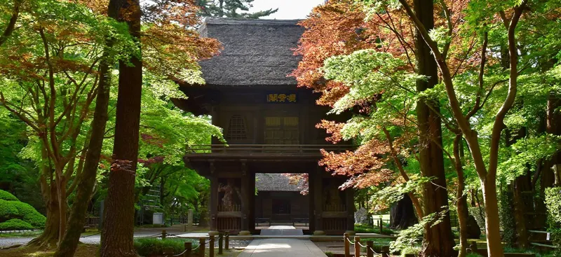 平林寺 1