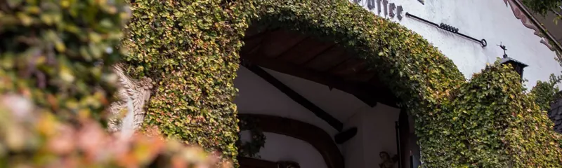 パペルブルグ 1