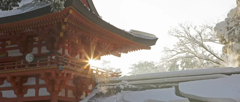 武蔵一宮氷川神社 1