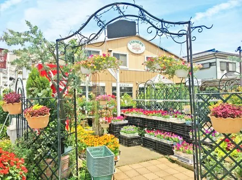 ファーマーズ 三郷店