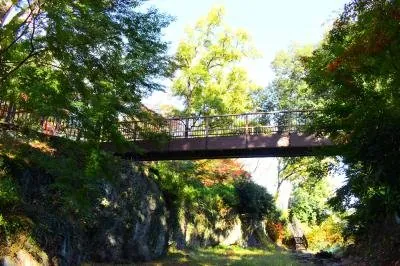 雀宮公園 1