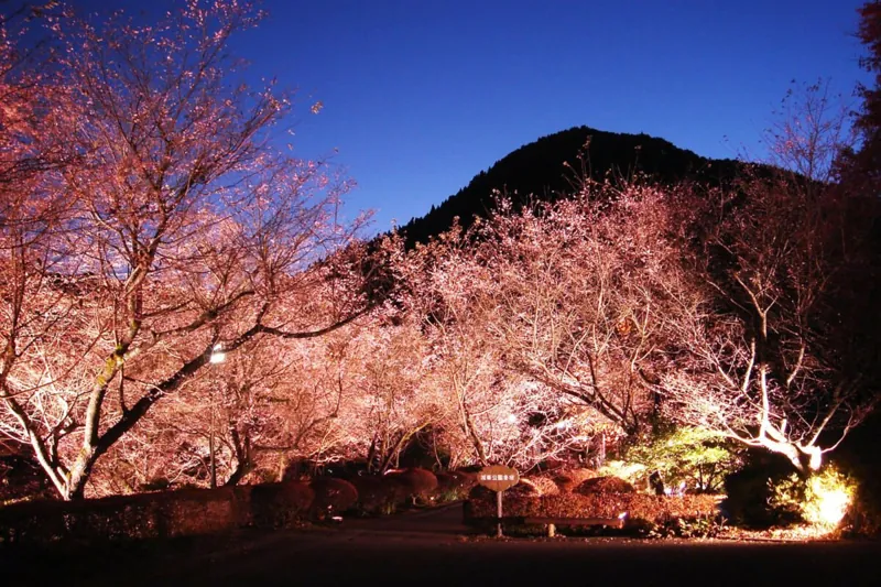 城峯公園 2