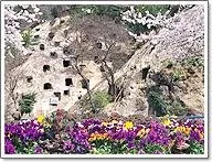 吉見さくら堤公園 1