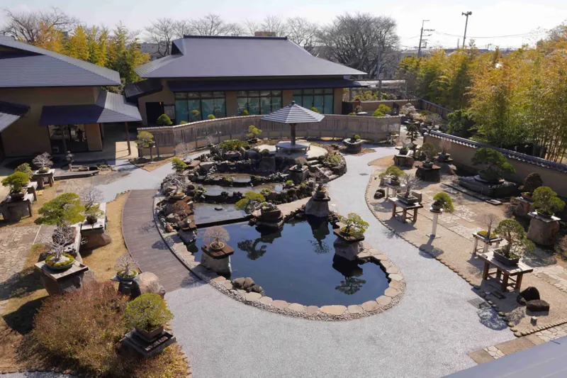 さいたま市大宮盆栽美術館 1