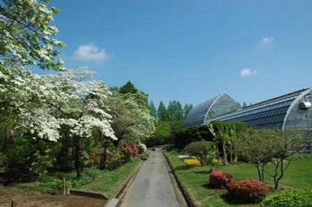 さいたま市園芸植物園 2