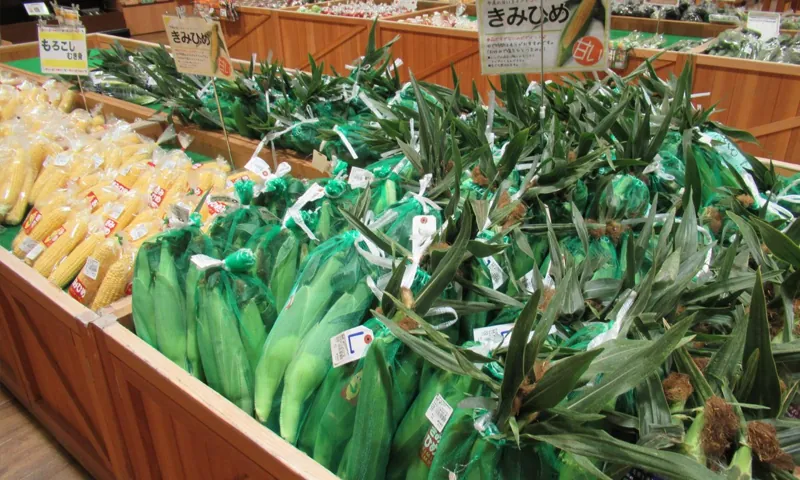 風土記の丘農産物直売所 1