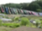 道の駅 南きよさと