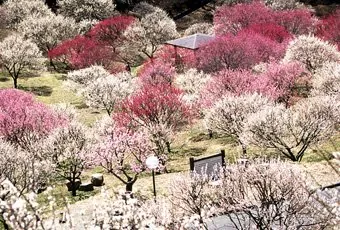 敷島総合公園