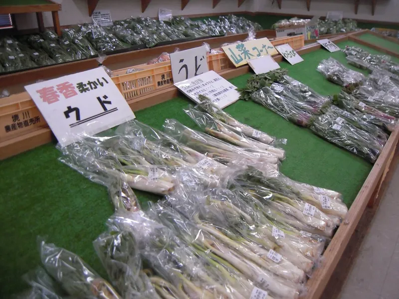 笛吹市 さかいがわ農産物直売所