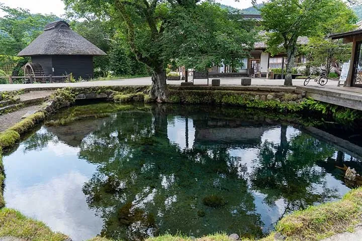 忍野八海 1