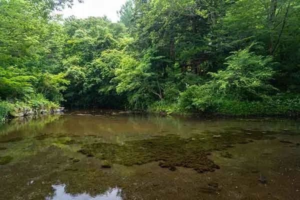忍野八海 2